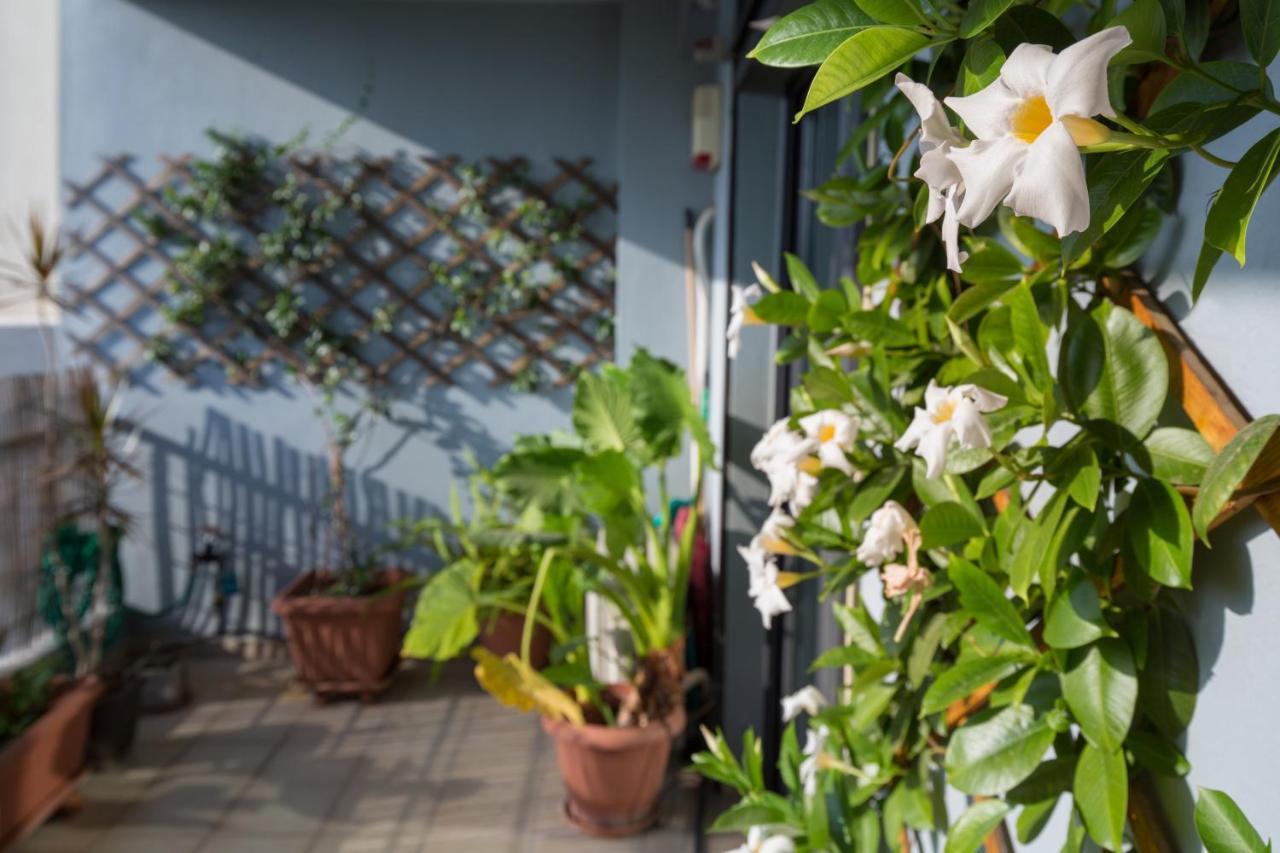 Spacious Modern Apartments With Great Rooftop View Athen Eksteriør bilde